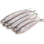 Small Block Fish